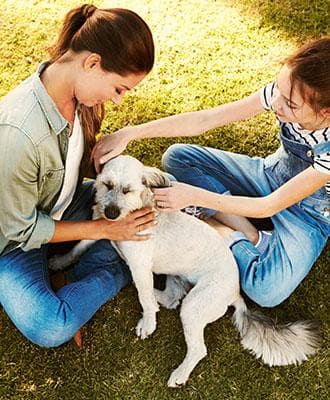 VENTA TERRENO EN ALTAI RESIDENCIAL AV. CHAC MOOL