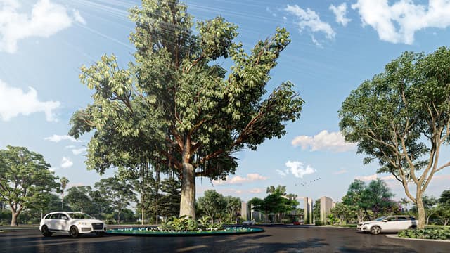 97304 Tamanché, Yuc.