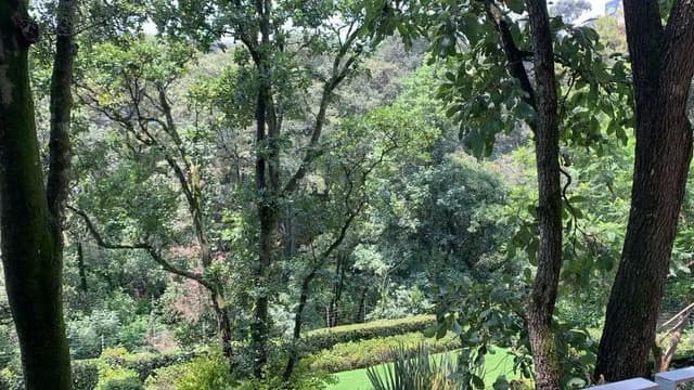 LOMAS DE VISTAHERMOSA, COLONIA VISTAHERMOSA 44