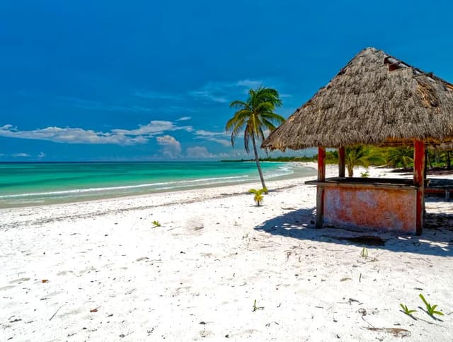 Un compromiso con la sostenibilidad y el bienestar: Xpu-Há, donde el lujo se une a la responsabilidad ambiental.