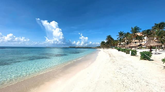 Vivienda de 3 Recámaras en Planta Baja con Patio y Ventanas Antihuracán