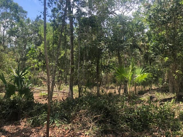 VENTA TERRENOS EN LA RUTA DE LOS CENOTES