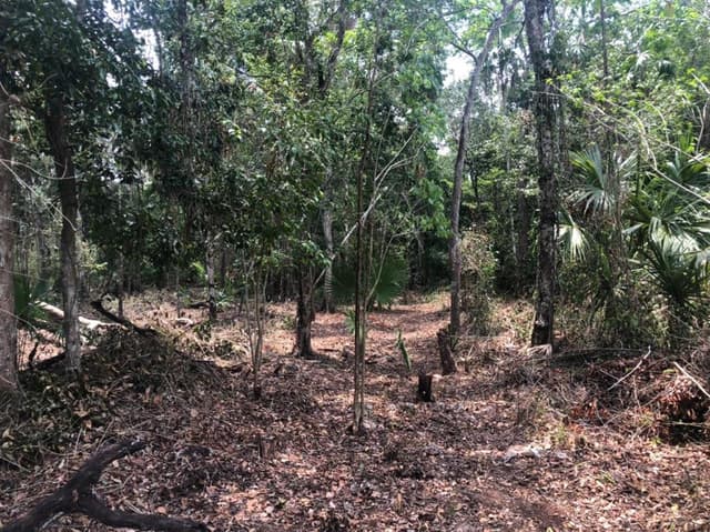 VENTA TERRENOS EN LA RUTA DE LOS CENOTES
