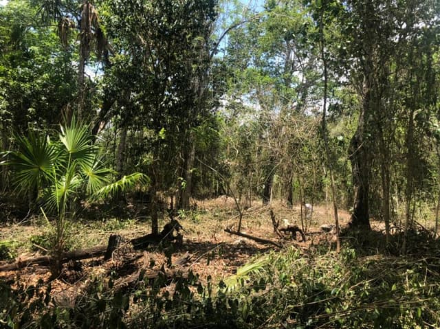 VENTA TERRENOS EN LA RUTA DE LOS CENOTES