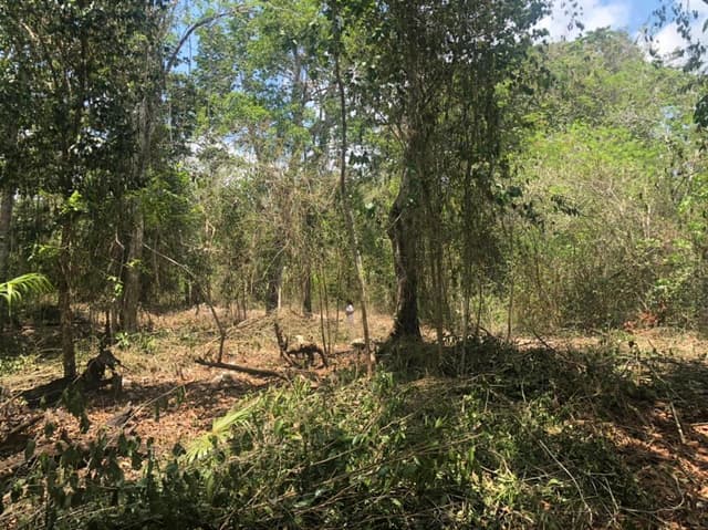 VENTA TERRENOS EN LA RUTA DE LOS CENOTES