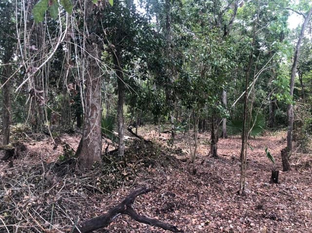 VENTA TERRENOS EN LA RUTA DE LOS CENOTES