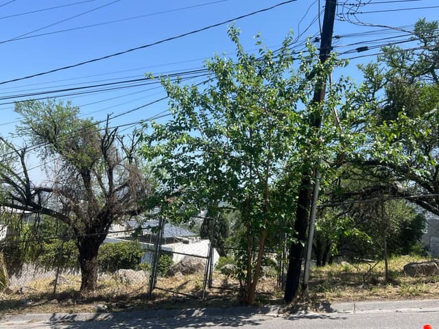 VENTA TERRENO LA CIMA SAN PEDRO