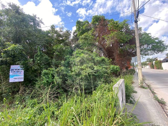 VENTA EXCELENTE UBICACION TERRENO SOBRE AVENIDA FONATUR