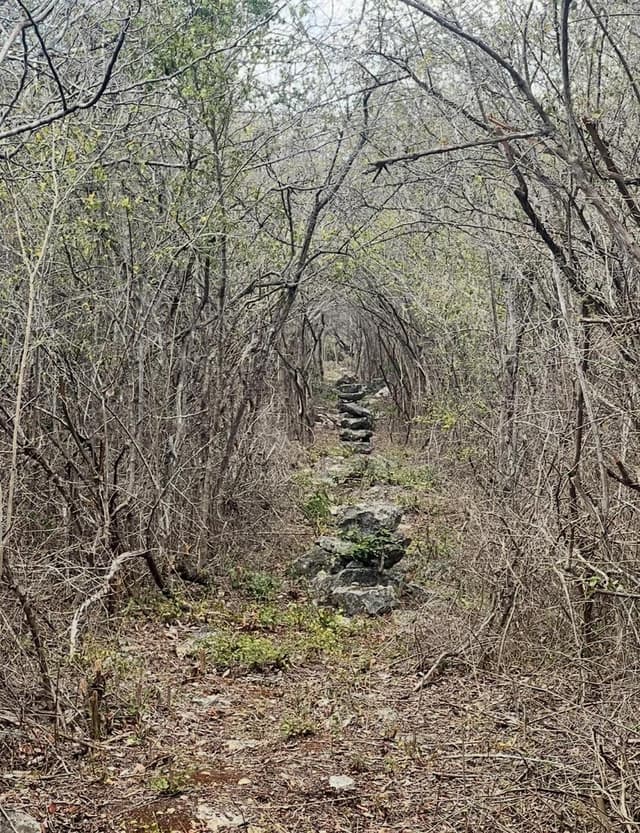 Terreno con casa en molas, 1.64ha