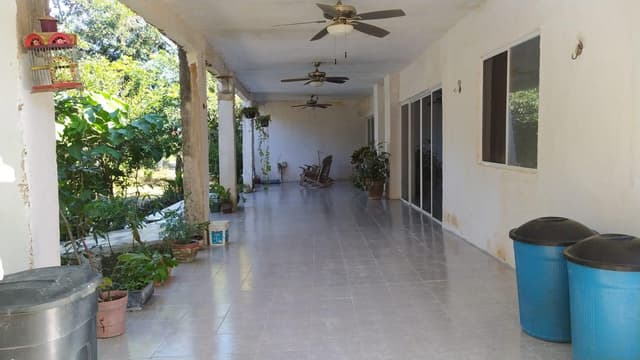 Terreno con casa en molas, 1.64ha