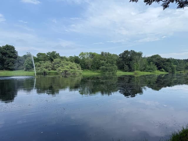 TERRENO CAMPESTRE EN VENTA MONTEMORELOS