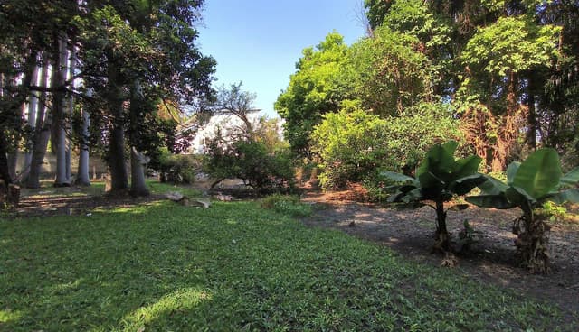 Baja de precio!!! Compra el terreno y te llevas la casa de campo incluida