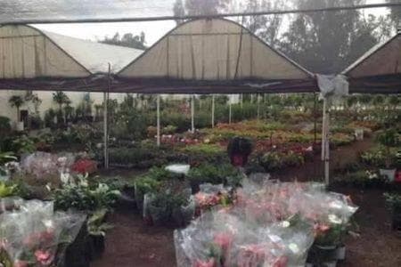 Terreno en Venta en Xochimilco