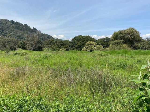 Terreno en Venta en el Desierto de los Leones