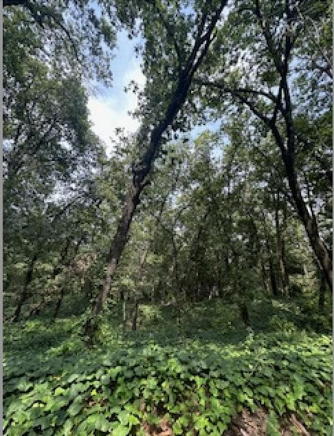 VENTA TERRENO OLINALA SAN PEDRO