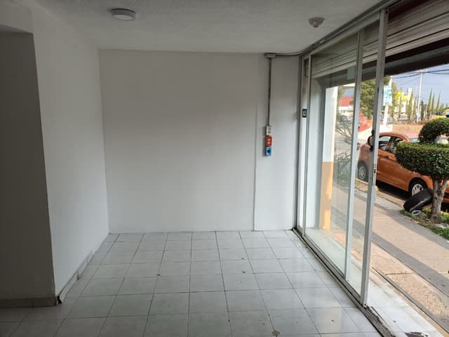 Local - Jardines de San Mateo