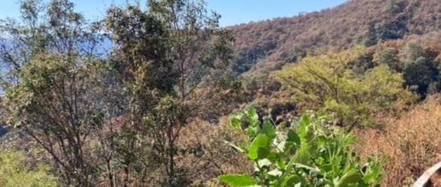 Carretera Valle de Bravo colorines, Colorines, Valle de Bravo