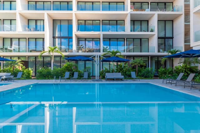 Departamento - Solidaridad