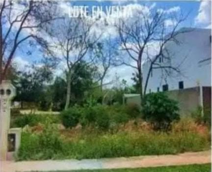 Terreno en Venta en Parque Natura