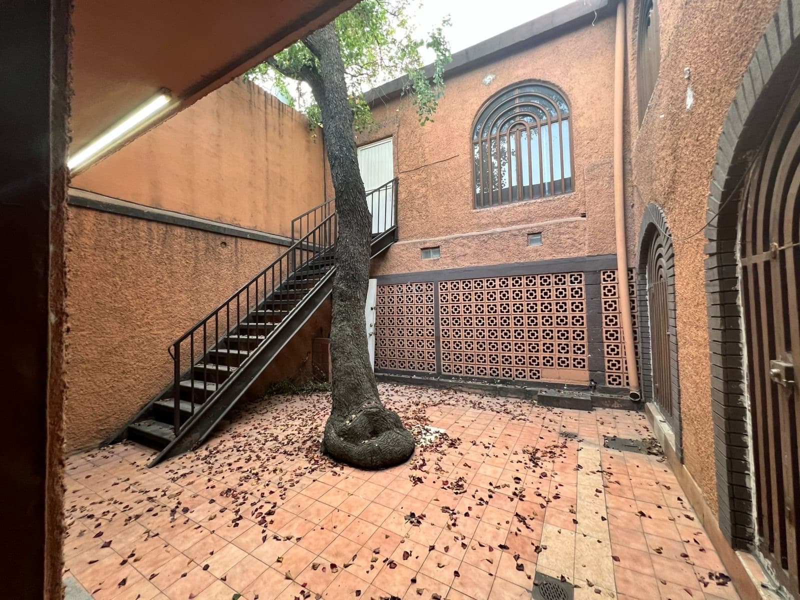 Fotos adicionales