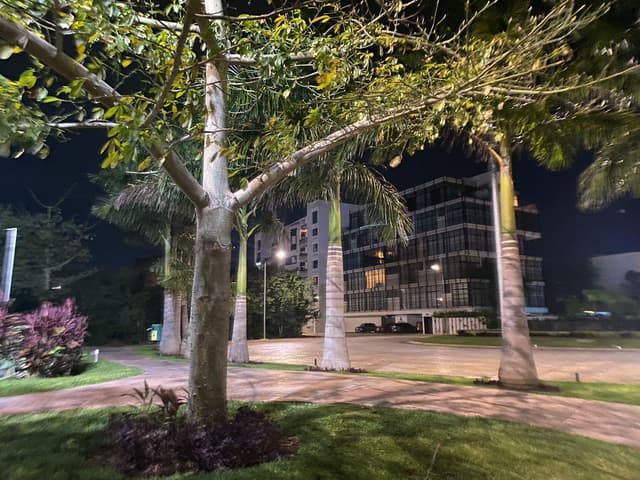 VENTA TERRENO EN ARBOLADA RESIDENCIAL ULTIMOS LOTES EXCELENTE UBICACION