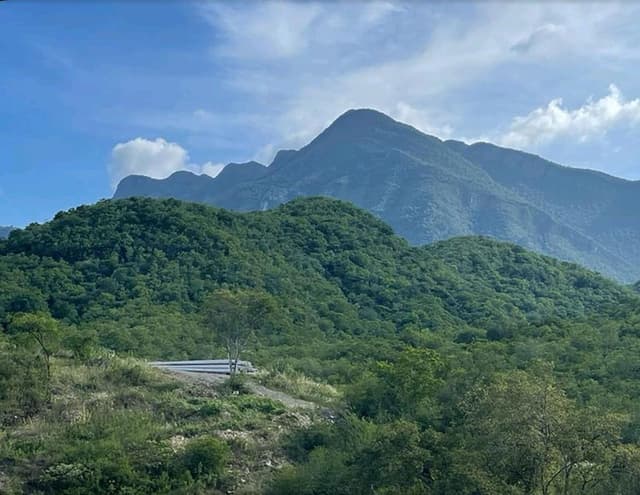 TERRENO EN VENTA CARRETERA NACIONAL ALAMO SUR