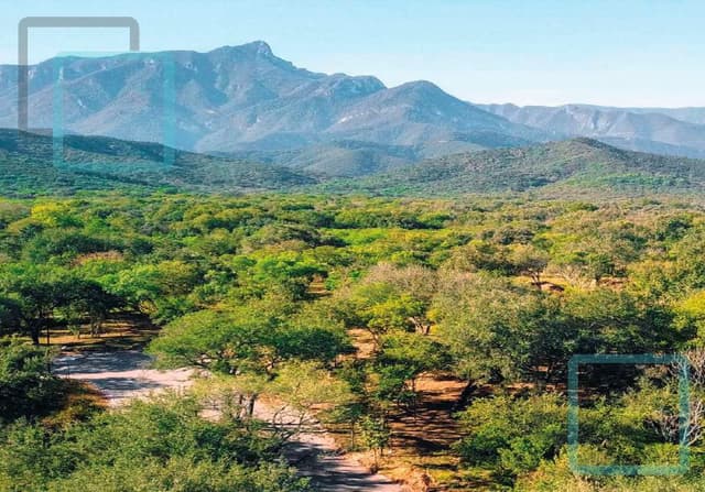 PRE-VENTA. LOTES DE TERRENOS CAMPESTRES CARRETERA MONTEMORELOS