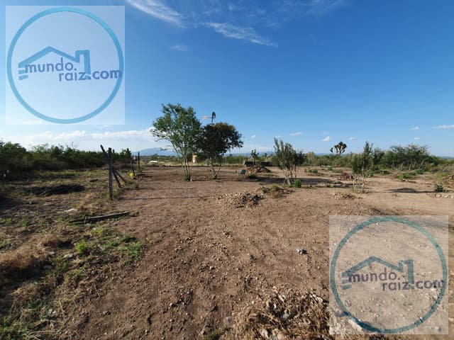 TERRENO VENTA LOS VILLARREALES SALINAS VICTORIA