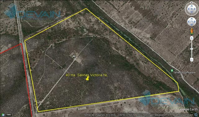 Terreno en Salinas Victoria