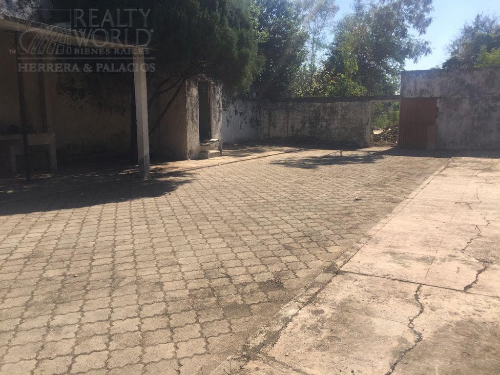 Fotos adicionales
