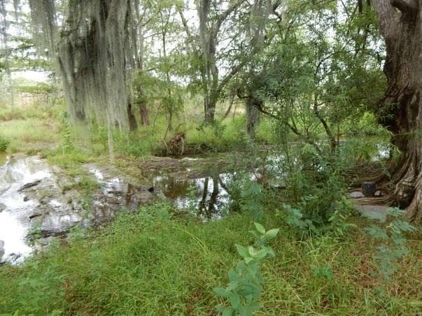 TERRENO EN VENTA MONTEMORELOS N L