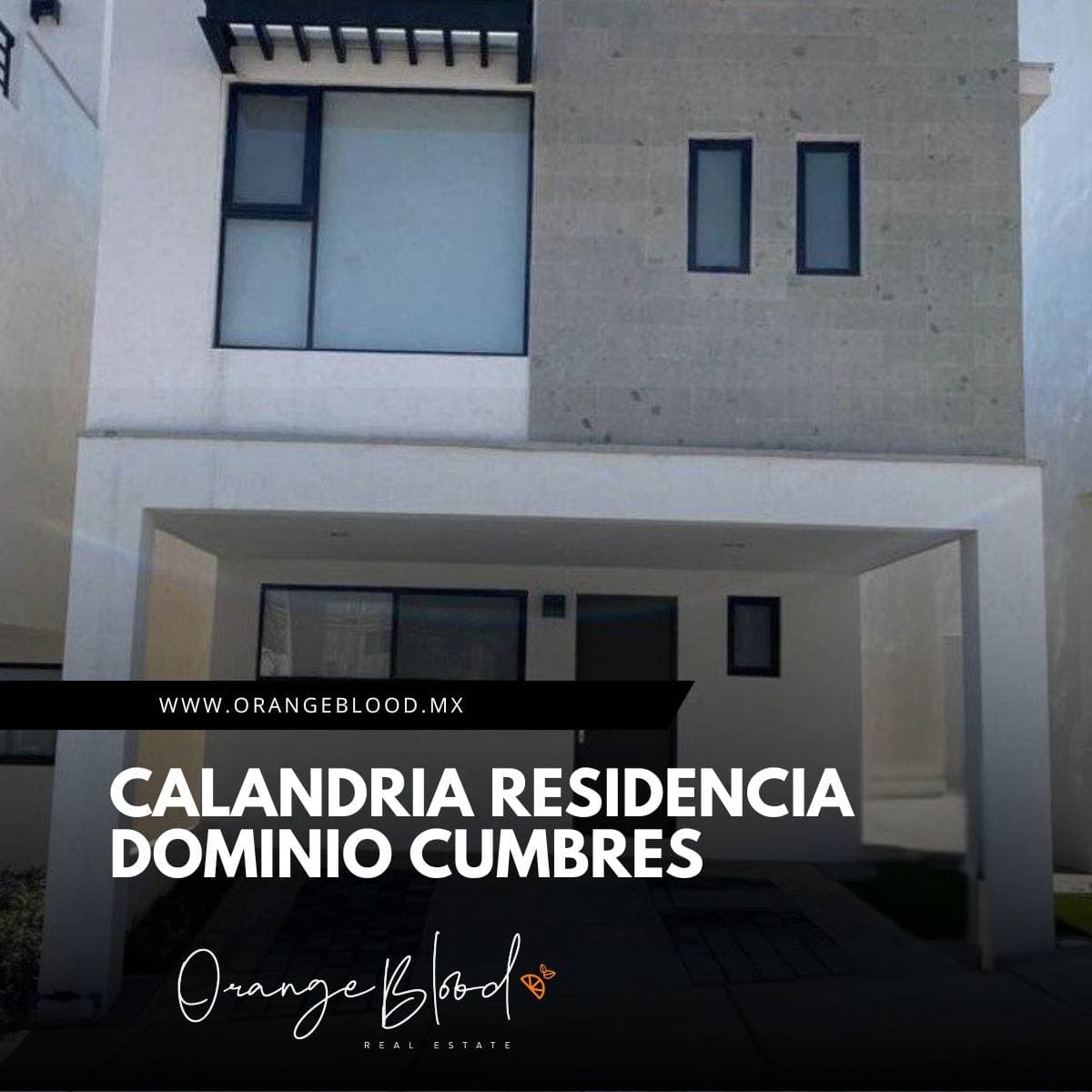 Fotos adicionales