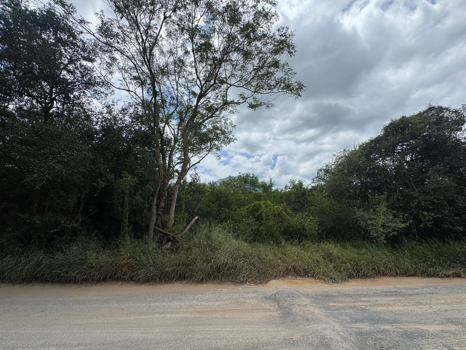 Fotos adicionales