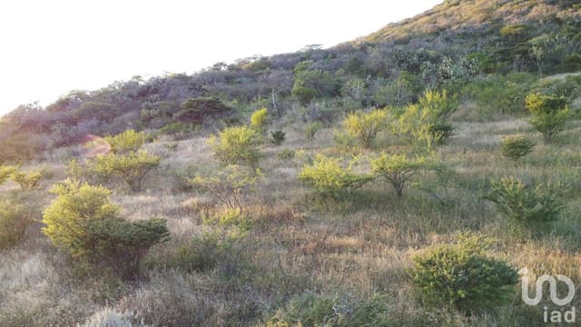 Venta de Terreno en Queretaro el Vegil