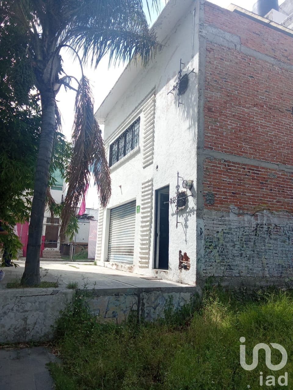 Fotos adicionales