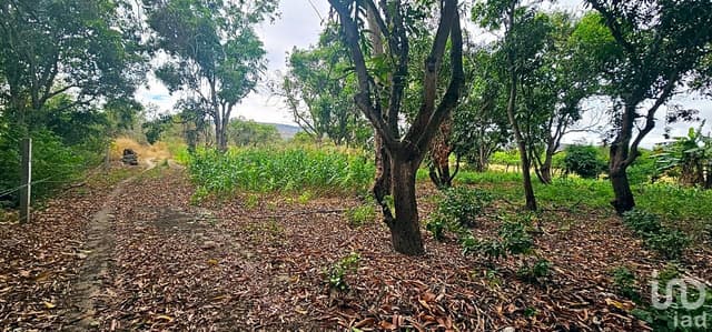 TERRENO RUSTICO EN VENTA CHIAPA DE CORZO