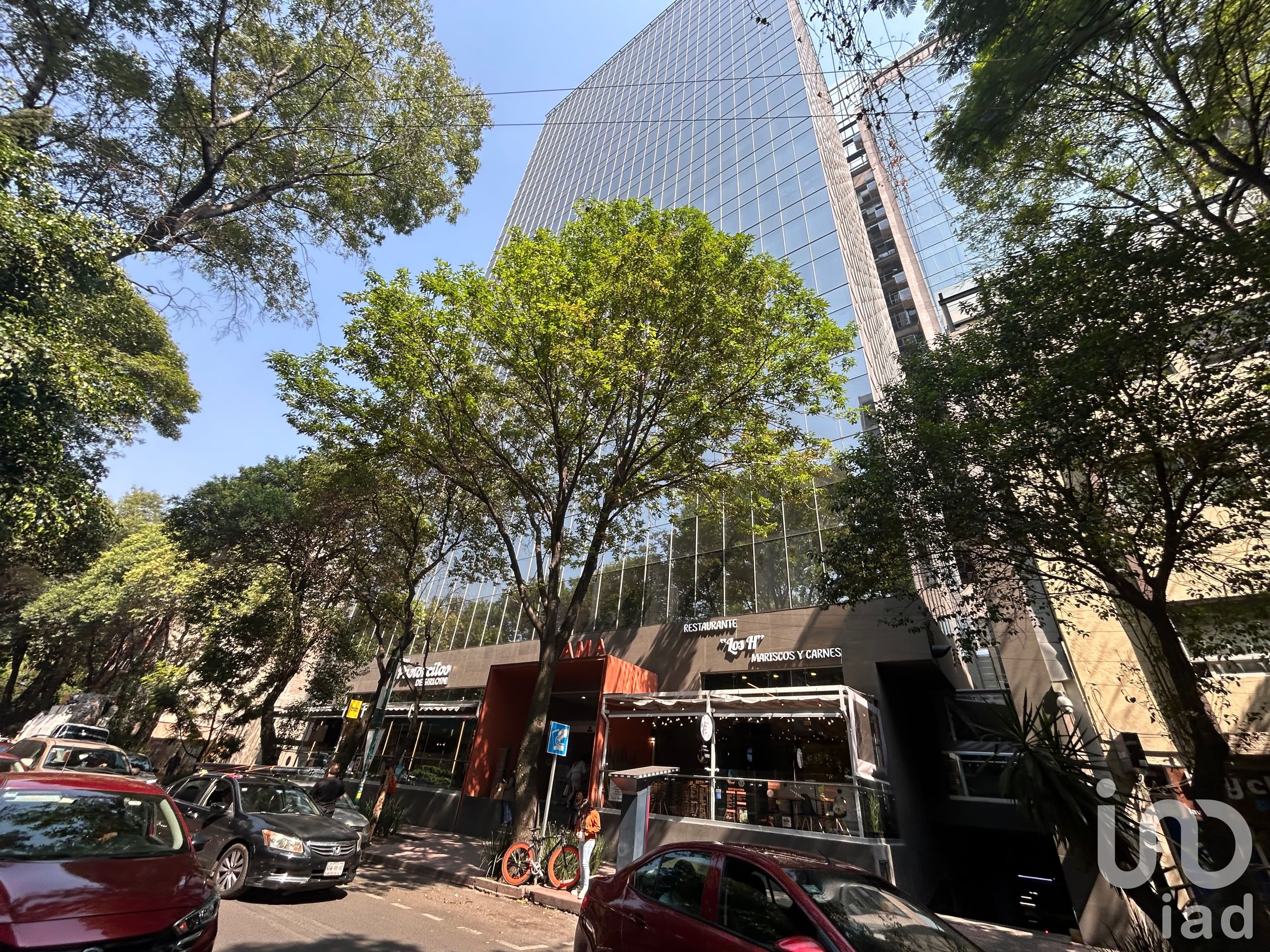 Fotos adicionales