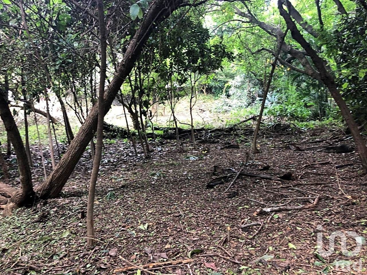 Fotos adicionales