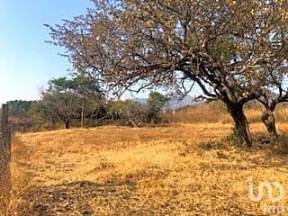 EN VENTA TERRENO ESCRITURADO EN CARRETERA YAUTEPEC-TLAYACAPAN. PREDIO LAS PALOMAS.