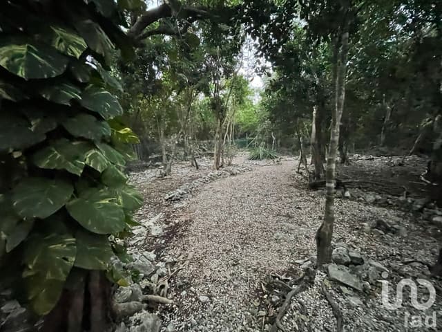 Casa en venta cerca de Puerto Aventuras, marina, playa y golf ideal para Airbnb o retiro