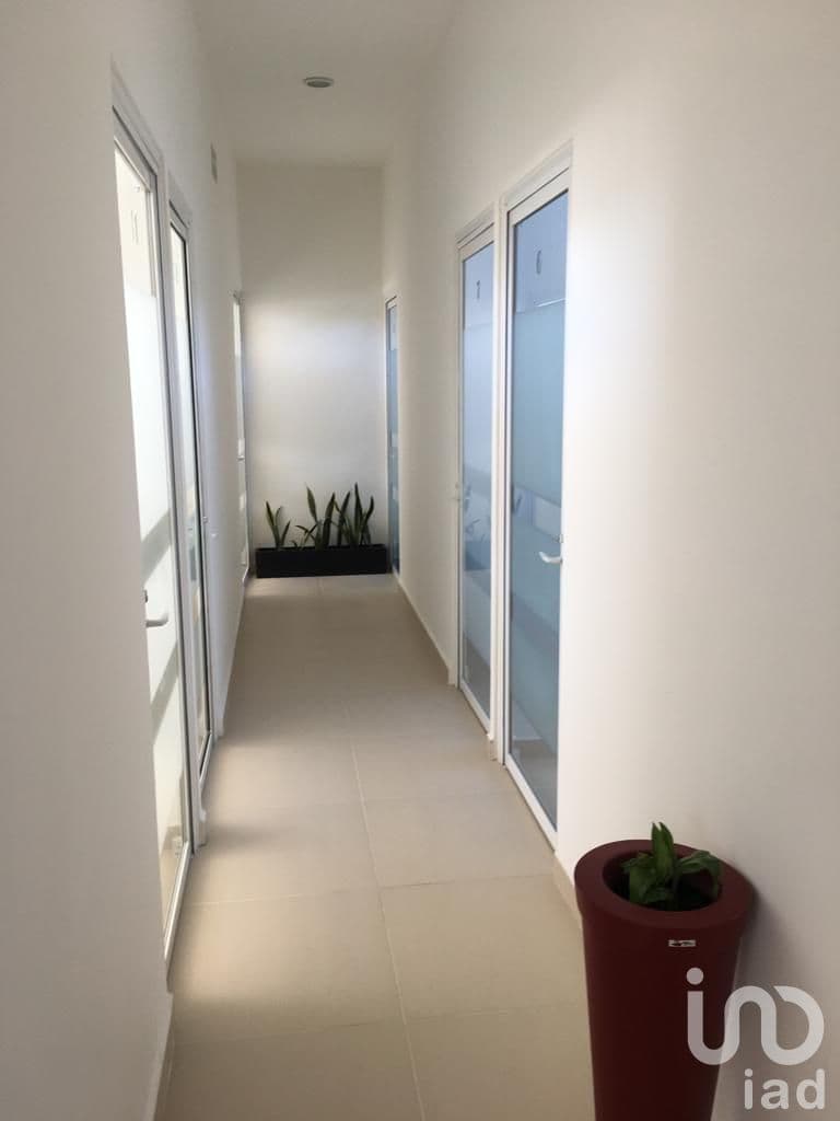 Fotos adicionales