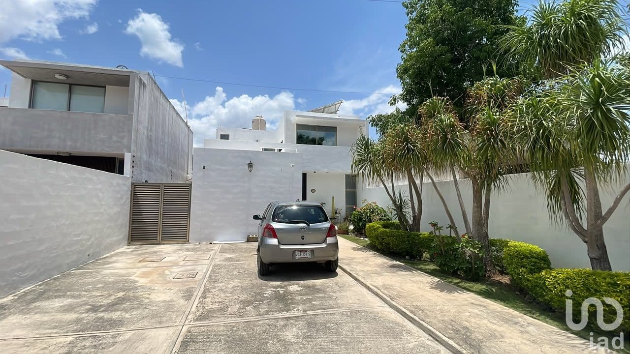 Fotos adicionales