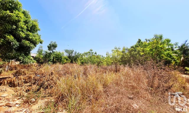 LOTE EN VENTA, BARRA DE COLOTEPEC, PUERTO ESCONDIDO