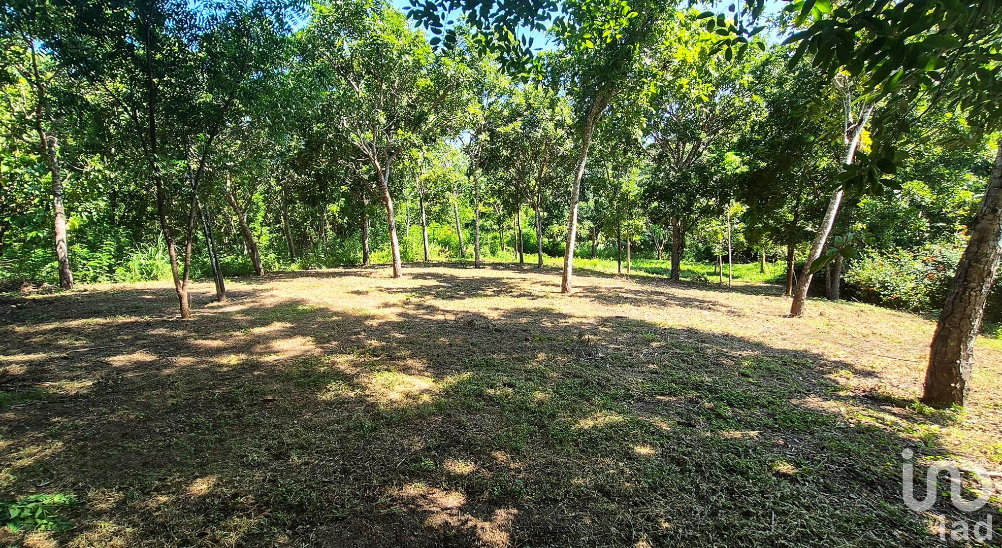 Fotos adicionales