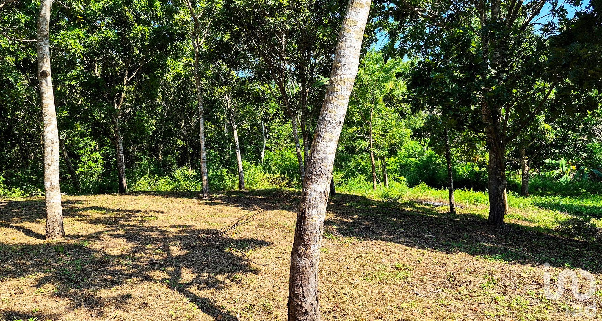 Fotos adicionales
