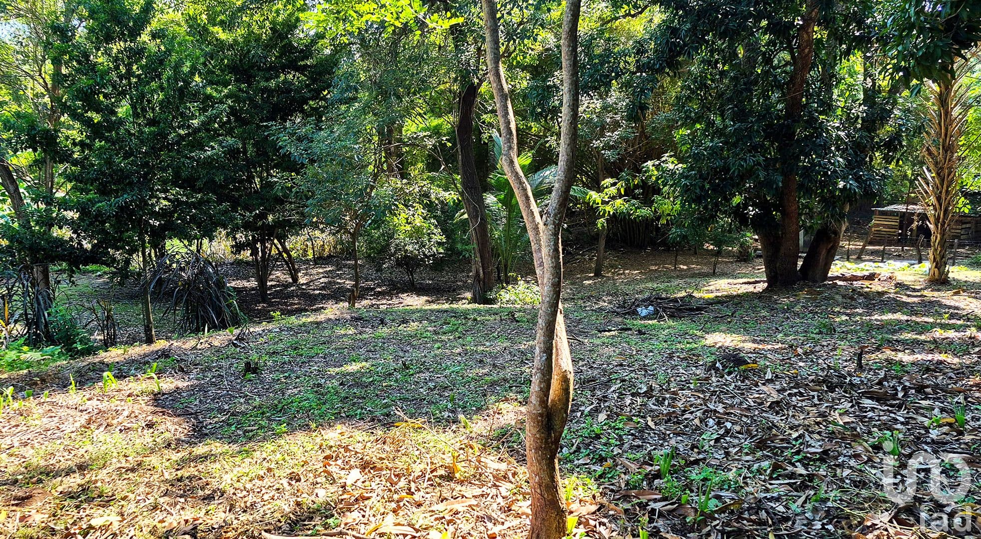 Fotos adicionales