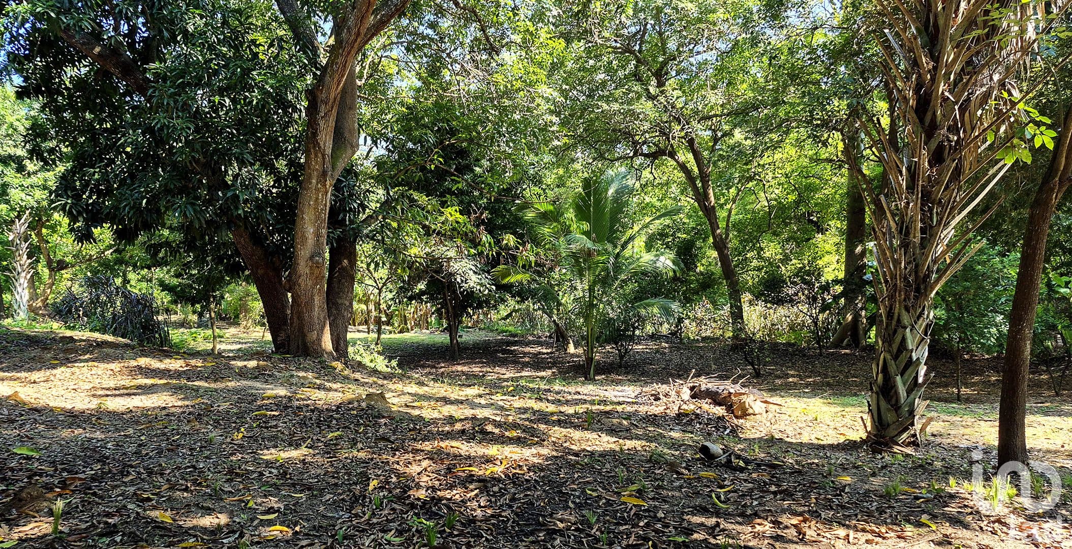 Fotos adicionales