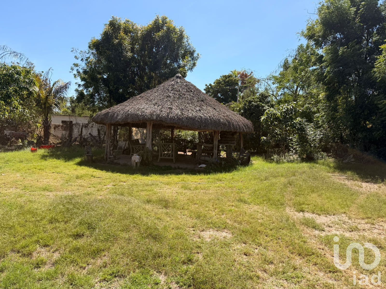 Fotos adicionales
