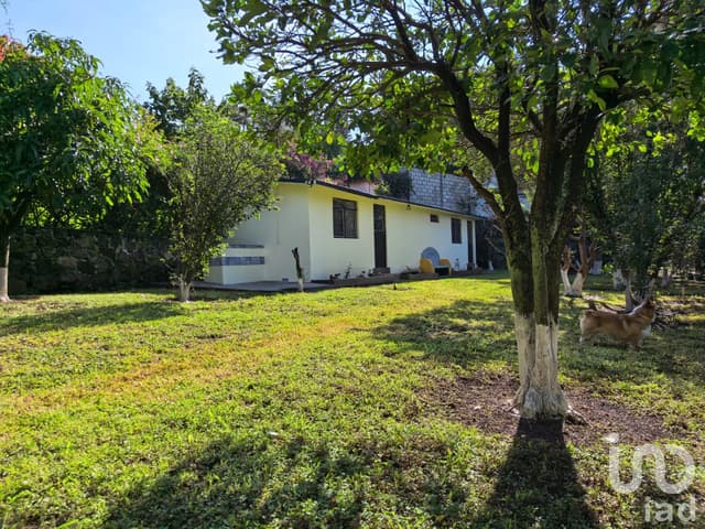 Casa en Venta en Ahuatepec, Cuernavaca. ¡Clima ideal y Jardín espectacular! Se aceptan créditos.