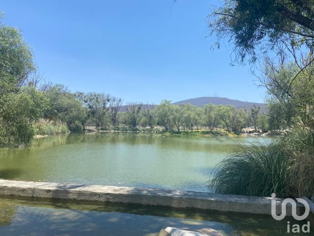 Venta de Terreno en El Encino en Querètaro